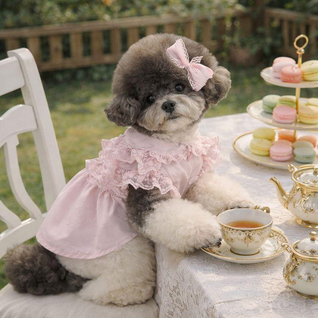 Pink pet princess dresses,pet birthday dresses,pet clothing,lace embellishments,summer pet clothing, small dog dresses,gifts for pet lovers