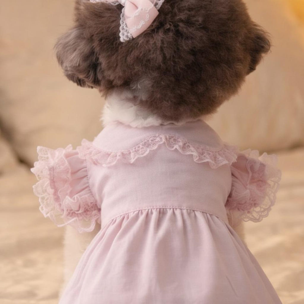 Pink pet princess dresses,pet birthday dresses,pet clothing,lace embellishments,summer pet clothing, small dog dresses,gifts for pet lovers
