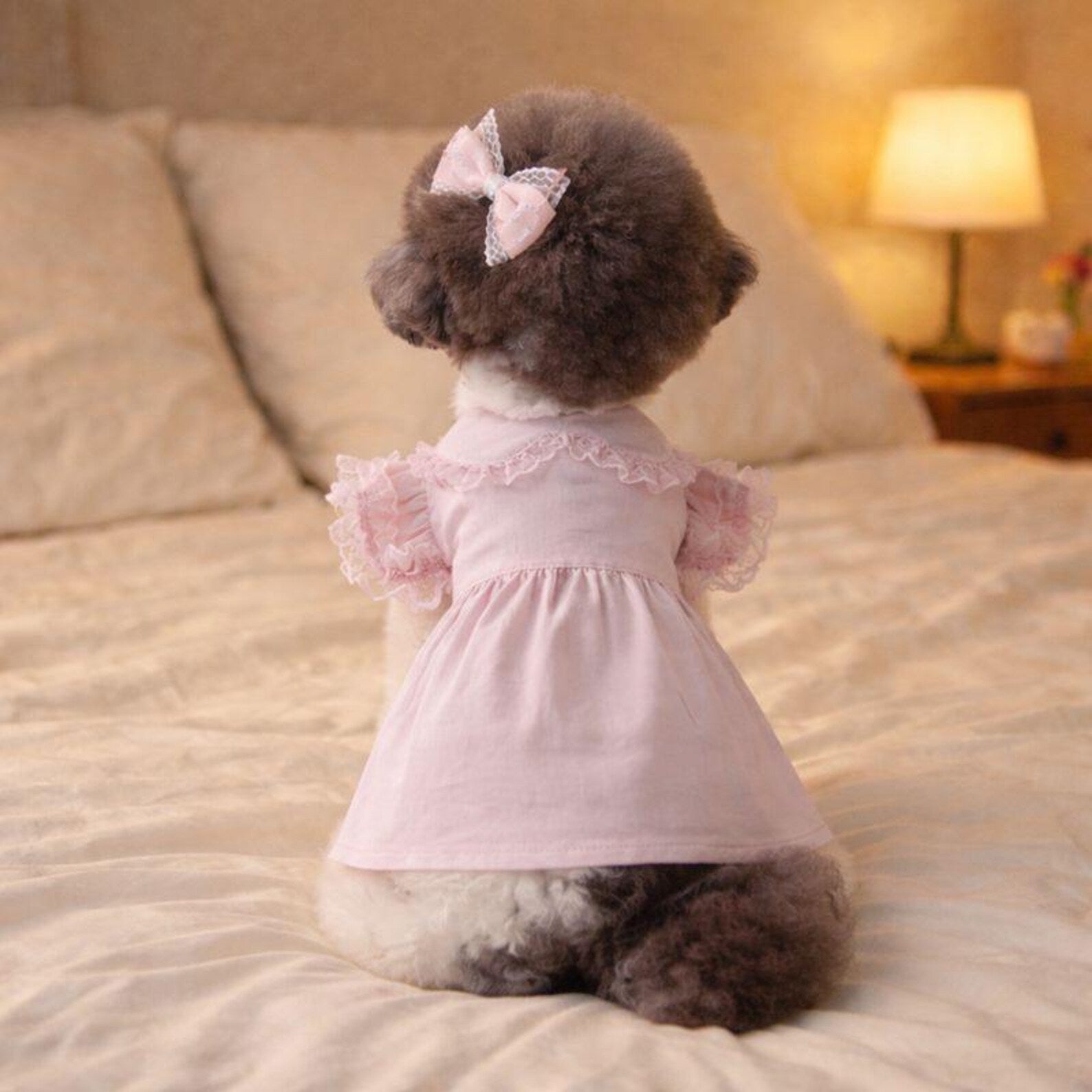 Pink pet princess dresses,pet birthday dresses,pet clothing,lace embellishments,summer pet clothing, small dog dresses,gifts for pet lovers