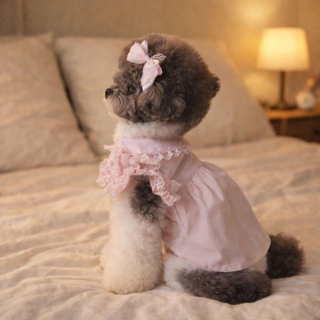 Pink pet princess dresses,pet birthday dresses,pet clothing,lace embellishments,summer pet clothing, small dog dresses,gifts for pet lovers