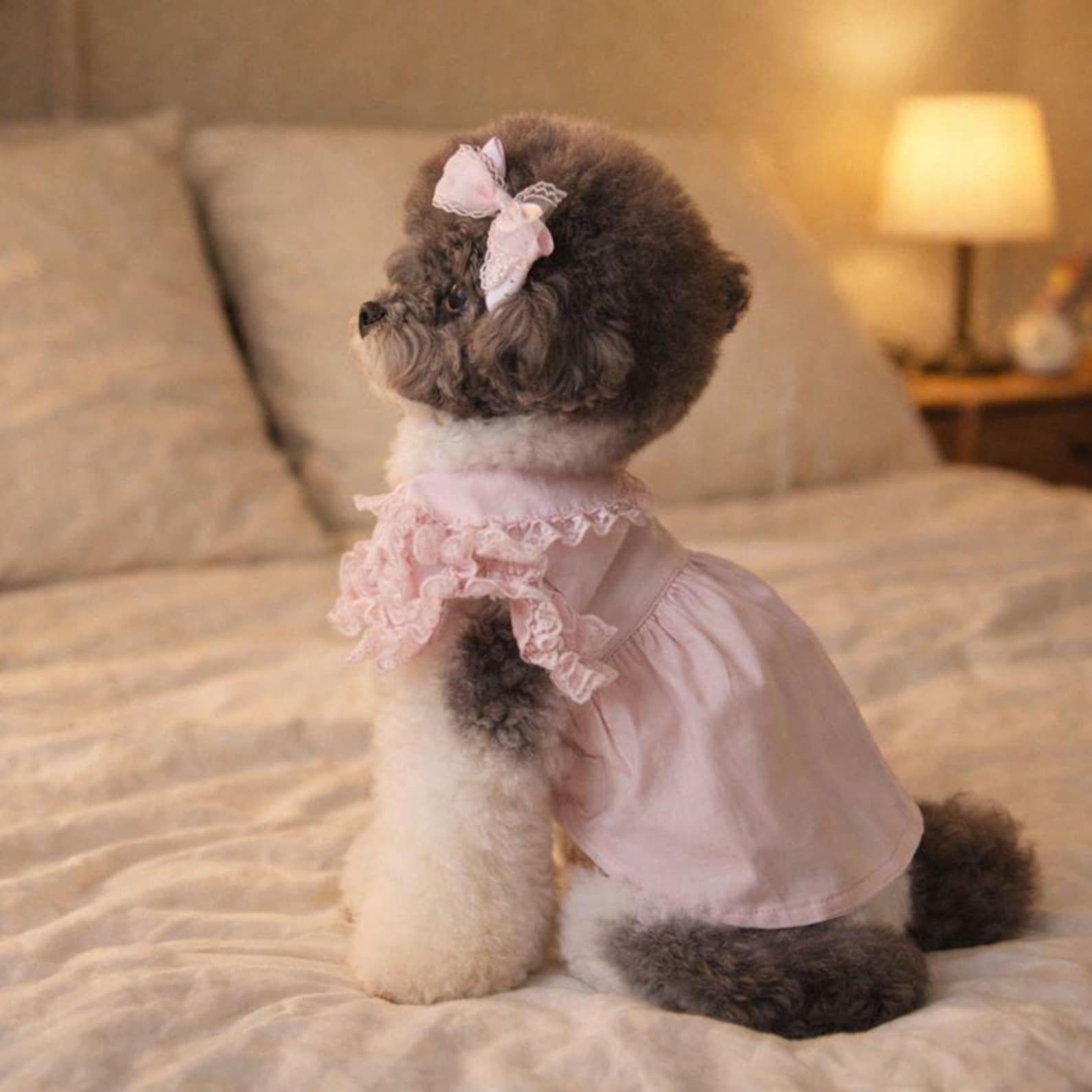 Pink pet princess dresses,pet birthday dresses,pet clothing,lace embellishments,summer pet clothing, small dog dresses,gifts for pet lovers