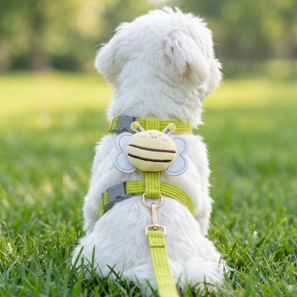 Pet vests with a bee-shaped harness,small dog leash,pet vests,pet clothing,dog clothes,dog mom,dog dad,cat dad,cat mom,gifts for pet lovers