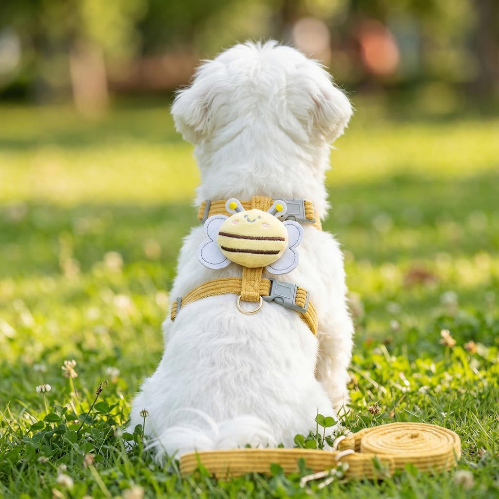 Pet vests with a bee-shaped harness,small dog leash,pet vests,pet clothing,dog clothes,dog mom,dog dad,cat dad,cat mom,gifts for pet lovers